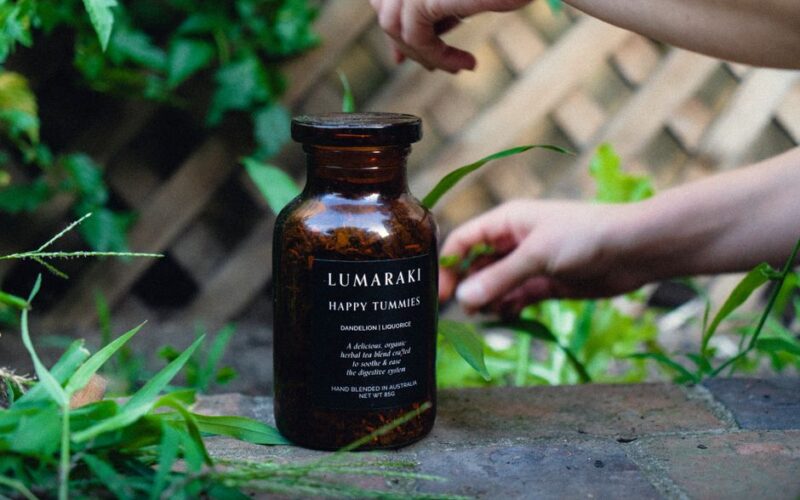 A jar of organic dandelion liquorice tea with hands tending plants in a garden.