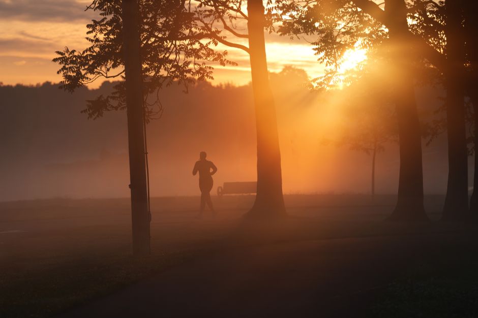 A jogger running through a park during a misty sunrise, creating a serene silhouette.