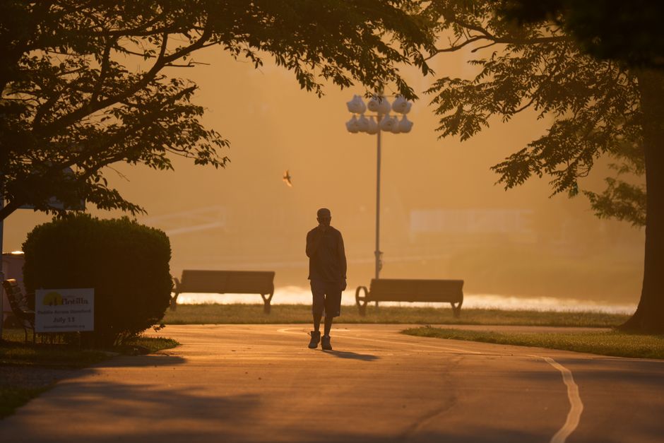 A serene morning walk at dawn in Cove Island Park, Stamford, surrounded by soft sunlight.