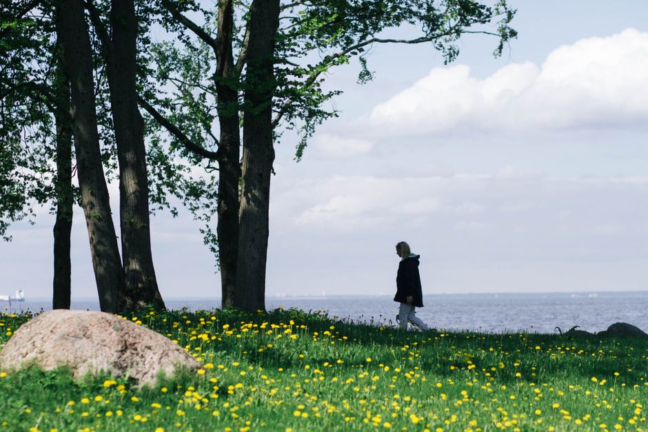 Walking for Mental Clarity: How Daily Movement Reshapes Your Mood and Focus