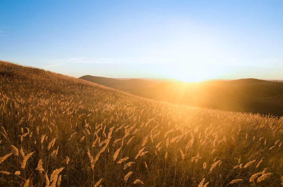 Breathtaking sunrise over grassy fields in Altai, Russia, with golden light and serene landscape.
