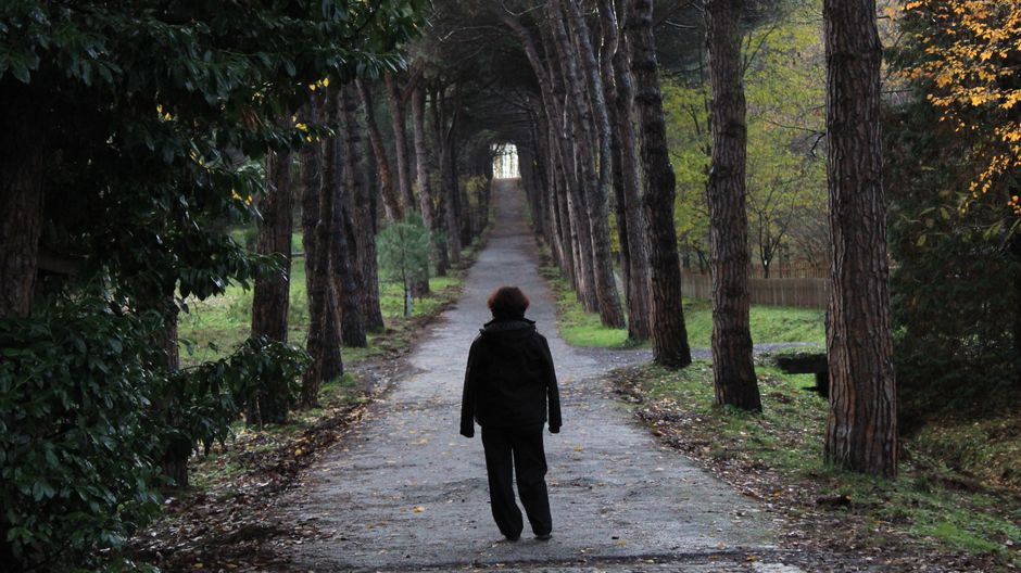 Person walking alone on a forest pathway surrounded by tall trees.