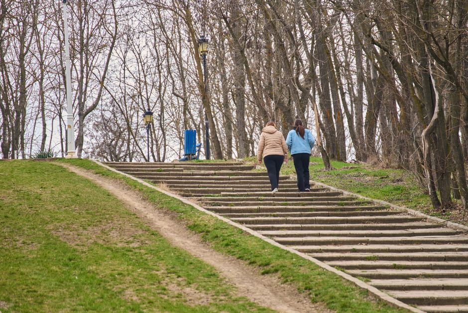 Two women enjoy a leisurely walk up a staircase in a tree-lined park path, capturing the essence of early spring.