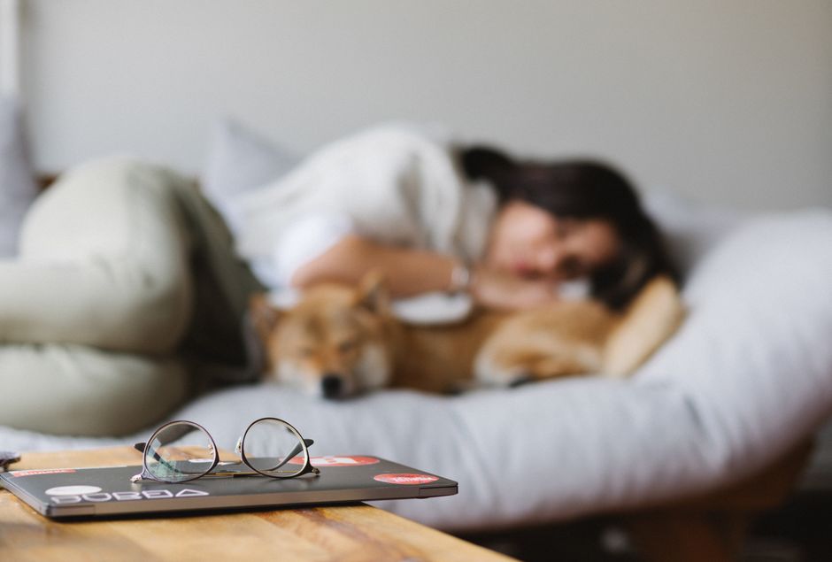 Unrecognizable female owner hugging adorable Akita Inu dog while lying together on comfortable couch near wooden table with notebook and eyeglasses
