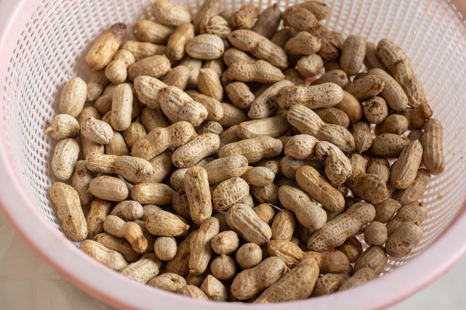 A close-up of fresh raw peanuts, still in their shells, placed in a pink colander. Perfect for cooking or snacking.