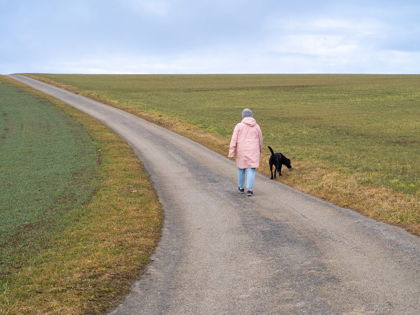 A person walking a dog along a windy country road under a cloudy sky.