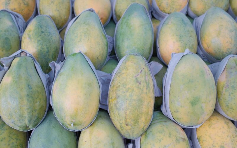 A vibrant collection of ripe green papayas neatly arranged, ideal for healthy eating concepts.
