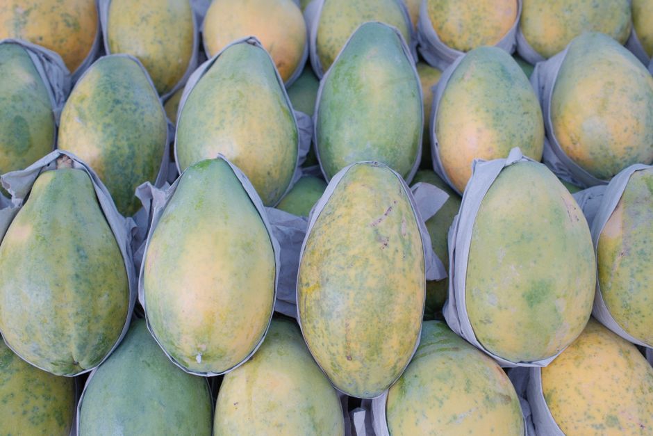Digestive Enzyme Myths vs. Evidence: When Supplements Help and When Whole Foods Do the Work