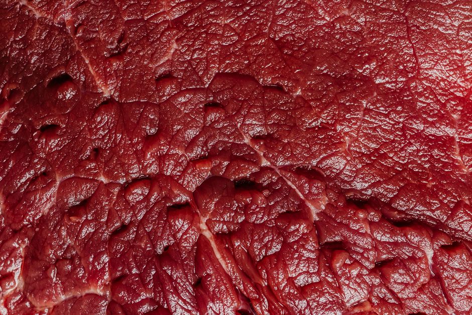 Protein Quality and Muscle Building: Comparing Plant, Animal, and Combination Sources for Home Strength Training