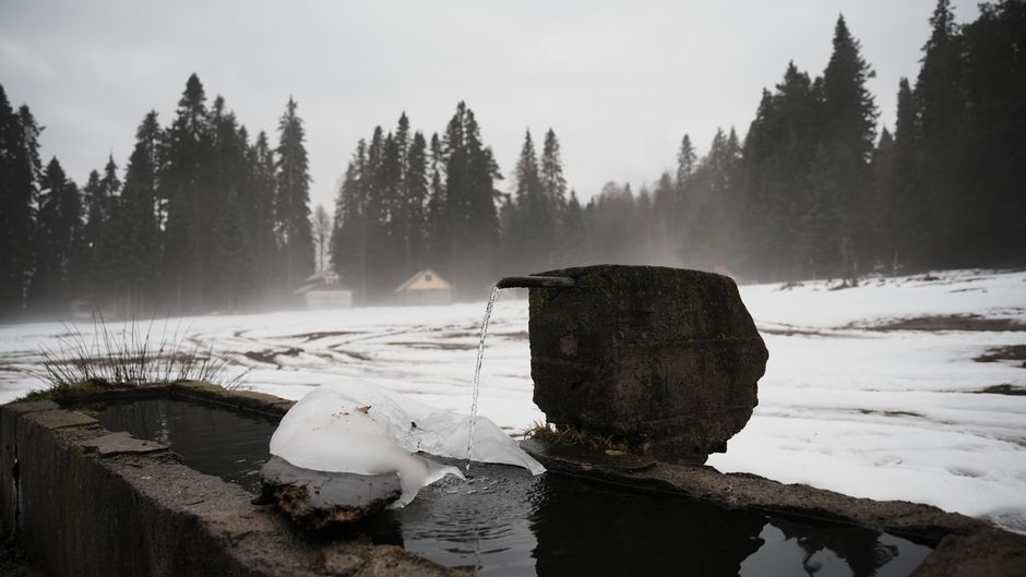 Flowing water from a stone fountain in a snowy forest setting during winter.