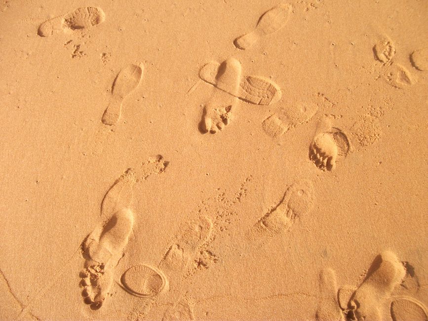 Footprints forming patterns on wet sandy beach, creating an interesting texture.