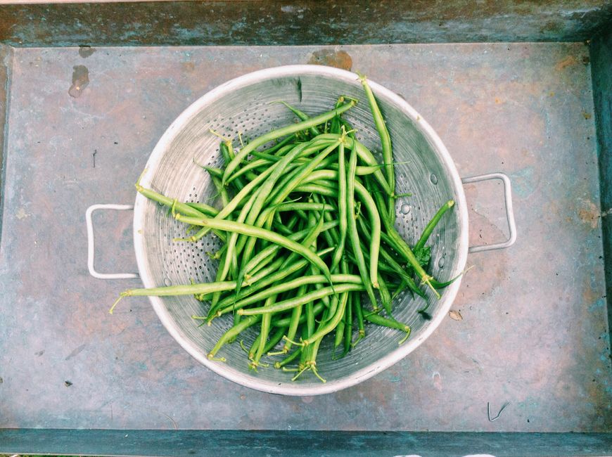 Top view of fresh green beans in a metal colander, ideal for food and healthy lifestyle themes.