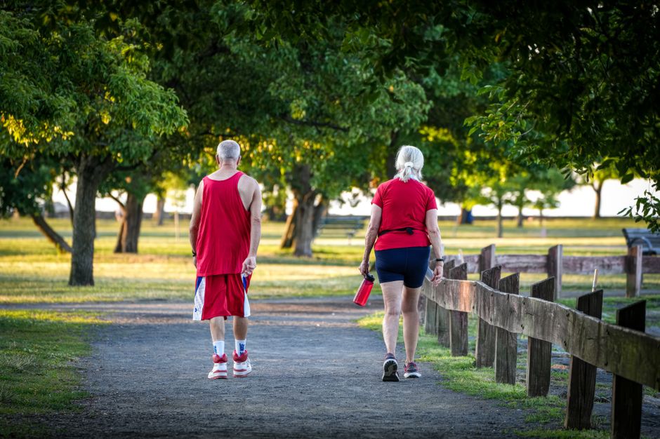 Two senior adults walking in a lush green park pathway, enjoying a sunny summer day.