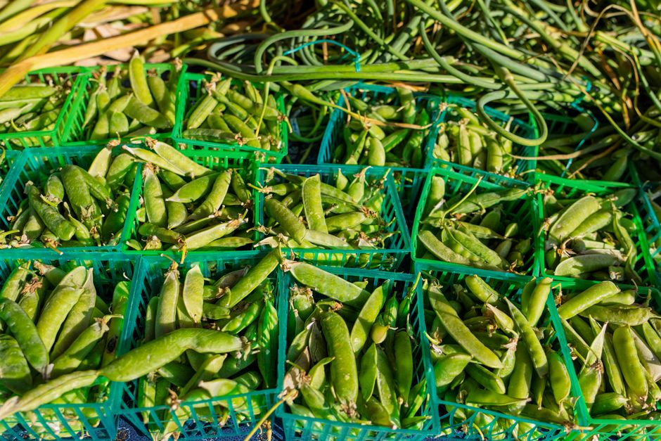 Vibrant green peas displayed in baskets, perfect for healthy eating or garden inspiration.