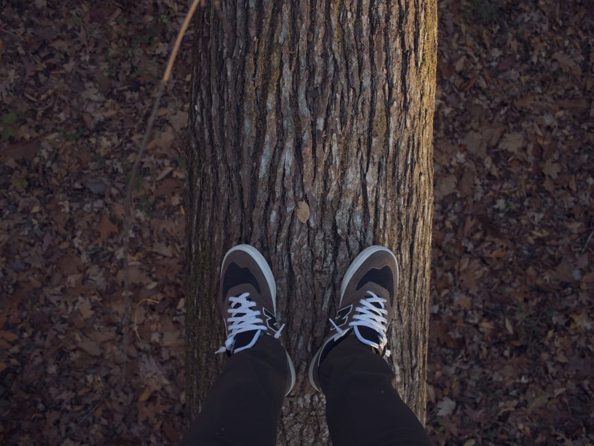 A person standing on a tree trunk wearing black and white sneakers in autumn.