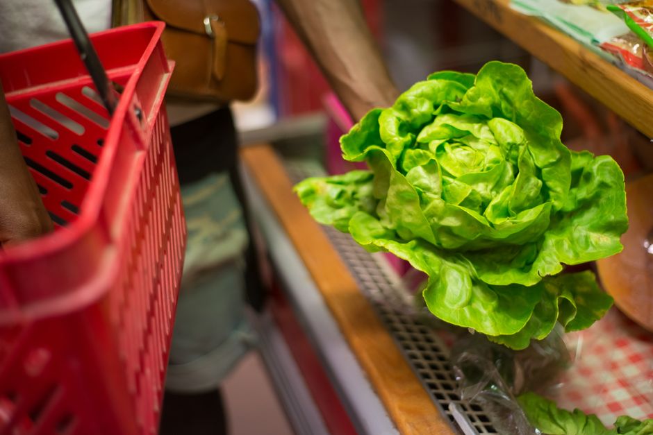 A shopper holds a red basket near vibrant lettuce at a grocery store.
