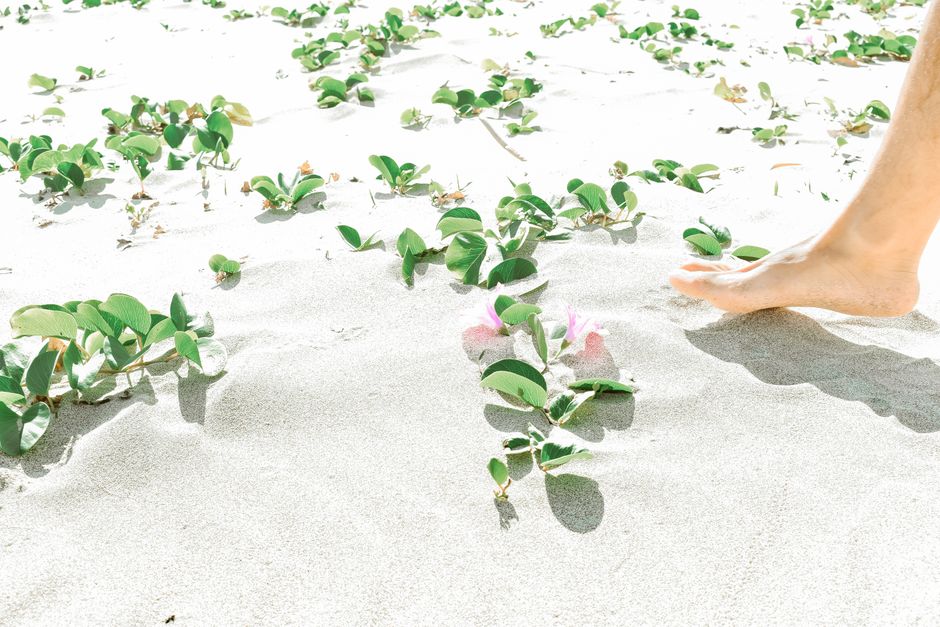 Barefoot person walking on a sandy beach, surrounded by lush green leaves and sunlight.