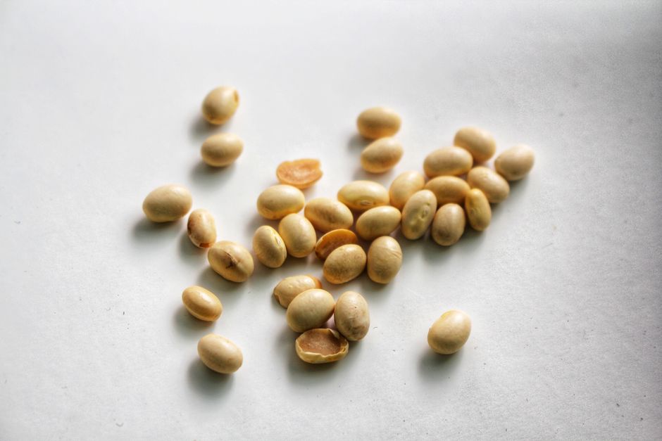 Plant-Based Protein Sources Ranked by Satiety, Cost, and Real-Life Ease: A Beginner’s Whole-Food Comparison