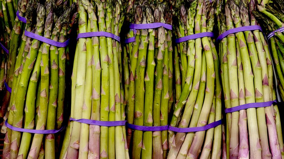 Close-up of fresh green asparagus bundles tied with purple bands.