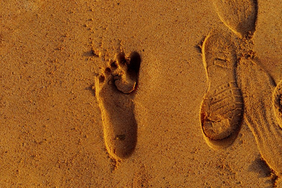 Barefoot Walking vs. Supportive Shoes for Daily Movement: Which Builds Foot Strength Without Sacrificing Safety