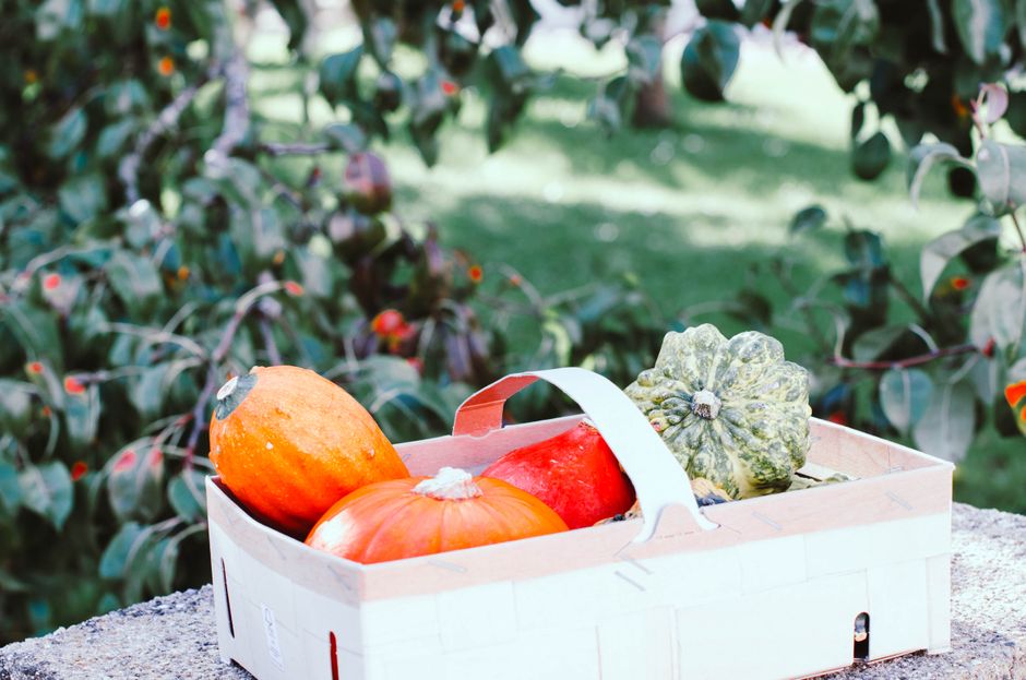 Seasonal Produce on a Budget: Why Winter Root Vegetables Cost Less and Deliver More Nutrients Than Summer Alternatives