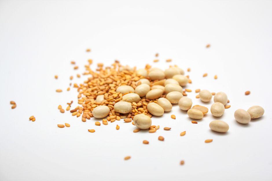 A detailed view of mixed nuts and seeds set against a white background, highlighting their textures.