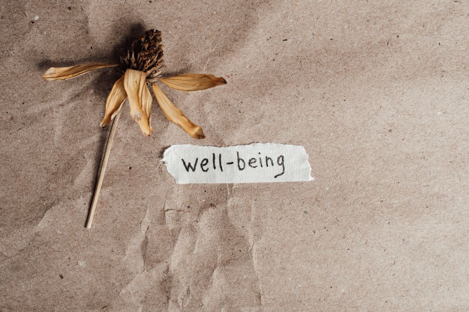 A dried flower beside a handwritten well-being note on brown paper, evoking calmness and reflection.